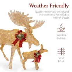 Best Choice Products 60 In. Gold 2-Piece Christmas Moose Family Set With 370 LED Lights -Christmas Decor Shop best choice products christmas yard decorations sky8162 44 1000