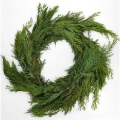 25 Ft. Live Cedar Christmas Garland