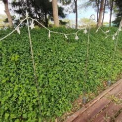 12 Pcs Pack For 37 In. Quick Light Post In Galvanized Color -Christmas Decor Shop christmas light accessories jlb qlp qlp01 c3 1000