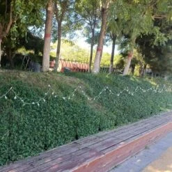 12 Pcs Pack For 37 In. Quick Light Post In Matte Black -Christmas Decor Shop christmas light accessories jlb qlp qlp05 fa 1000