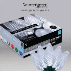 SuperBright 16 Ft. 25-Light LED Cool White C9 String Light Set -Christmas Decor Shop christmas string lights 20346 44 1000