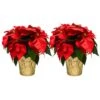 6 In. Holiday Live Indoor Poinsettia In Gold Pot Cover (2-Pack) 1 6 In. Holiday Live Indoor Poinsettia In Gold Pot Cover (2-Pack) -Christmas Decor Shop costa farms fresh christmas plants m poi w gld 02 64 1000