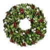 Evergreen 18 In. Artificial Giloy Leaf White And Red Berry Christmas Wreath -Christmas Decor Shop evergreen christmas wreaths 8wr116 64 1000