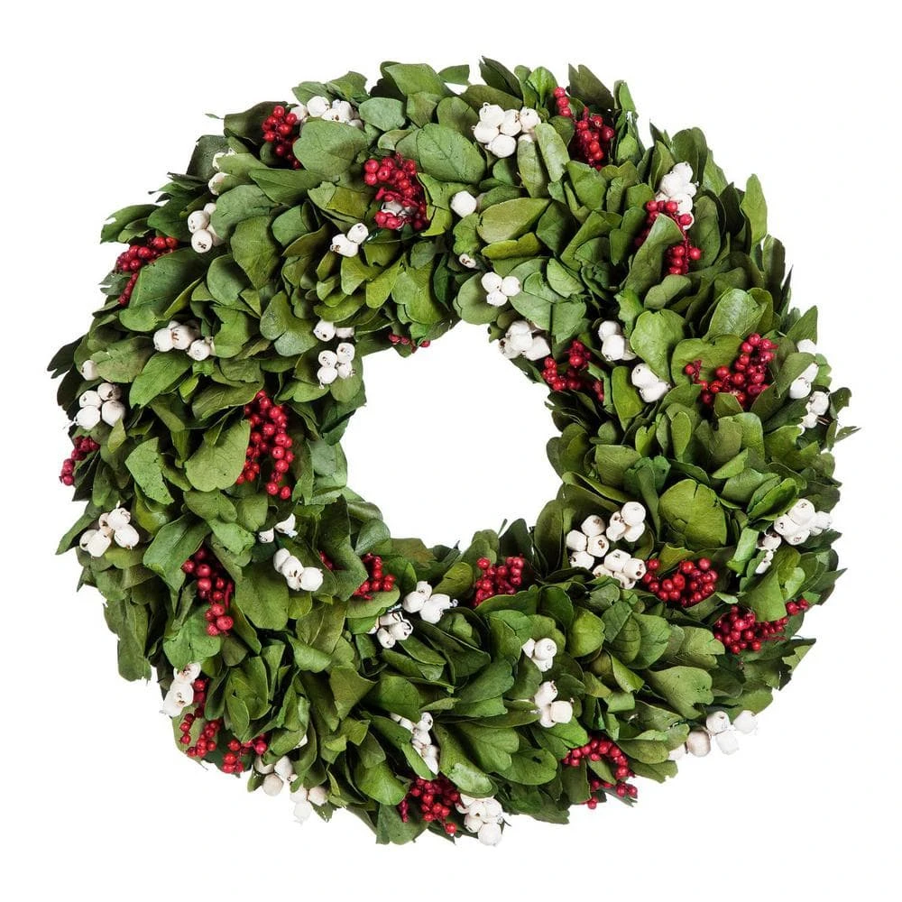 Evergreen 18 In. Artificial Giloy Leaf White And Red Berry Christmas Wreath 3 Evergreen 18 In. Artificial Giloy Leaf White And Red Berry Christmas Wreath