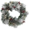24 In. Pre-Lit Artificial Christmas Wreath With Pinecones And Berries -Christmas Decor Shop fraser hill farm christmas wreaths ff024chwr009 1sn 64 1000
