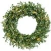 24 In. Boxwood Green Christmas Wreath With Warm White LED Lights, Christmas Decor -Christmas Decor Shop fraser hill farm christmas wreaths ffbx024w 5gr 64 1000