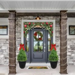 3 Gal. Dwarf Alberta Spruce Shrub In Decorative Pot And Bow With Dense Green Needle Like Foliage -Christmas Decor Shop fresh christmas plants 14009 4f 1000