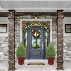 2 Gal. Rosemary Evergreen Holiday Plant In Decorative Red Pot With Pale Blue To White Flowers -Christmas Decor Shop fresh christmas plants 80014 4f 1000