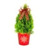 10 In. Holiday Janed Gold Arborvitae Live Shrub In Red Metal Pot With Gold Snowflake And Holiday Bow 1 10 In. Holiday Janed Gold Arborvitae Live Shrub In Red Metal Pot With Gold Snowflake And Holiday Bow -Christmas Decor Shop fresh christmas plants o883102rsbw 64 1000