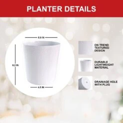 Holiday Red Lion Amaryllis Bulb Gift Kit With 6 In. White Planter, 26/28cm -Christmas Decor Shop garden state bulb fresh christmas plants ech 25 01 01 66 1000
