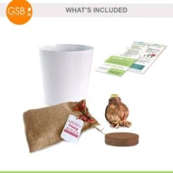 Holiday Red Lion Amaryllis Bulb Gift Kit With 6 In. White Planter, 26/28cm -Christmas Decor Shop garden state bulb fresh christmas plants ech 25 01 01 77 1000