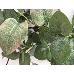 24 In. Green Unlit Seasonal Artificial Christmas Wreath With Eucalyptus 12 24 In. Green Unlit Seasonal Artificial Christmas Wreath With Eucalyptus -Christmas Decor Shop glitzhome christmas wreaths lkw20209gn 44 1000