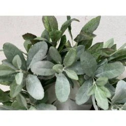 22 In. Green Unlit Artificial Christmas Wreath With Lambs Ear -Christmas Decor Shop glitzhome christmas wreaths lkw20210 4f 1000