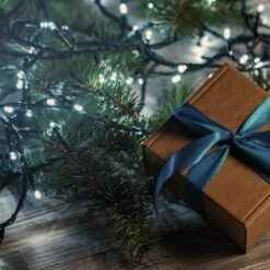 9.5 Ft. 25-Light Warm White Battery Operated String Lights (Set Of 2) 11 9.5 Ft. 25-Light Warm White Battery Operated String Lights (Set Of 2) -Christmas Decor Shop lumabase christmas string lights 66002 44 1000