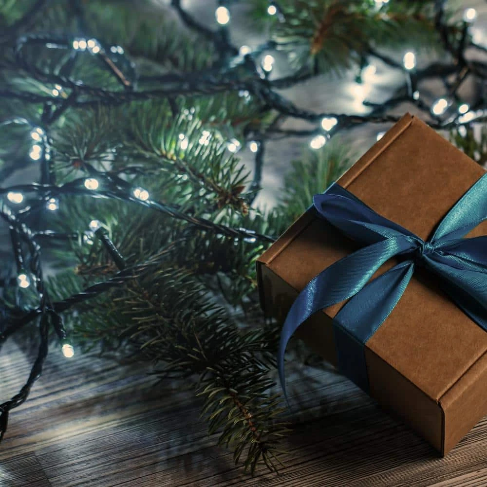 9.5 Ft. 25-Light Warm White Battery Operated String Lights (Set Of 2) 7 9.5 Ft. 25-Light Warm White Battery Operated String Lights (Set Of 2) - Image 5