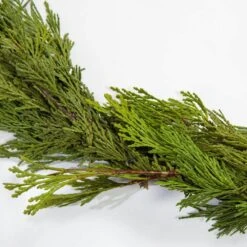 25 Ft. Fresh Cut Live Cedar Garland (1-Pack) -Christmas Decor Shop metrolina greenhouses christmas garland 5330 c3 1000