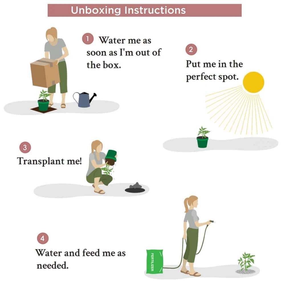 20 Ft. White Pine Garland 9 20 Ft. White Pine Garland - Image 7