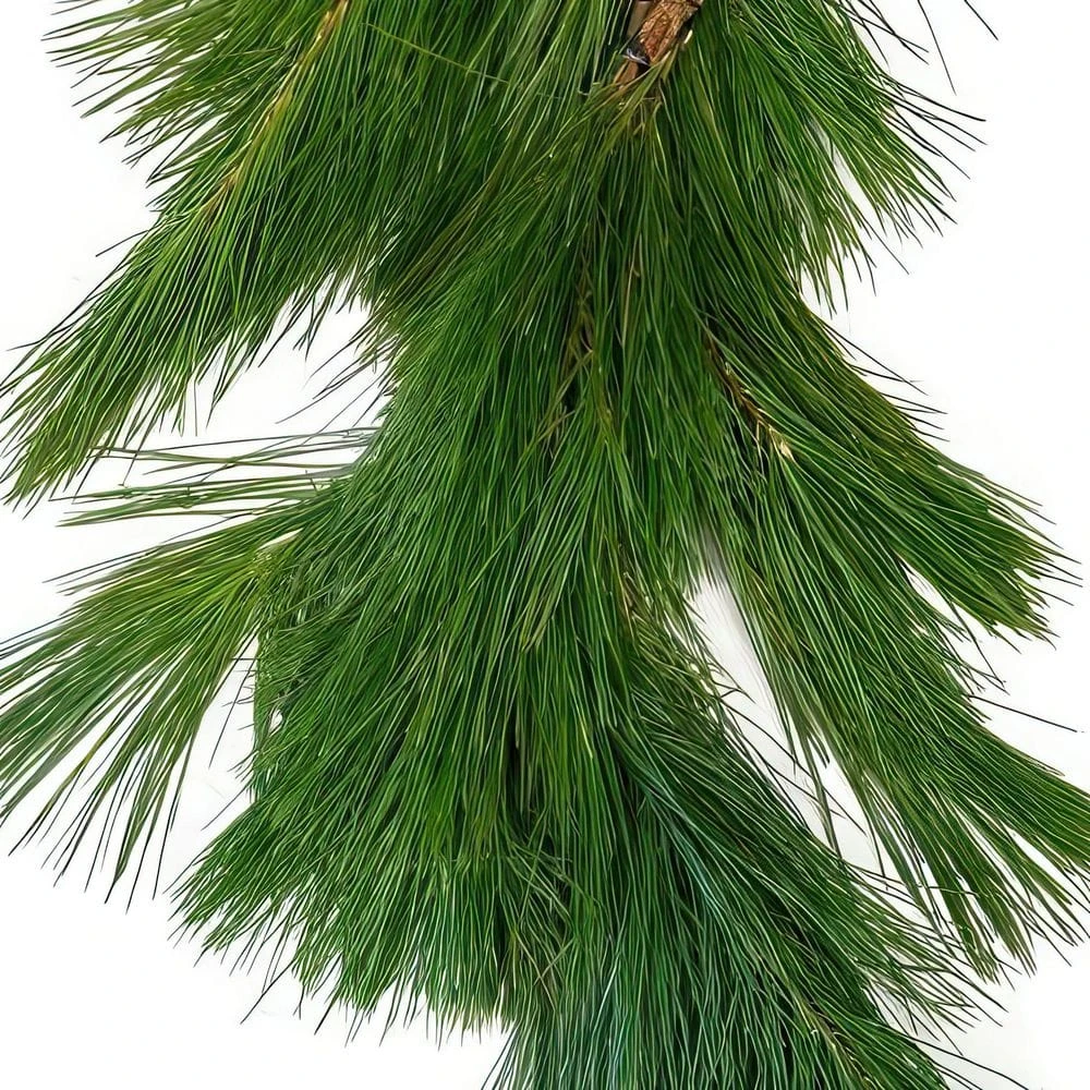 20 Ft. White Pine Garland 12 20 Ft. White Pine Garland - Image 10
