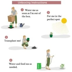 22 In. Candy Cane Wreath 9 22 In. Candy Cane Wreath -Christmas Decor Shop national plant network christmas wreaths hd1858 4f 1000