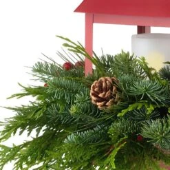 5 In. Noble Fir DIY Red Lantern Arrangement Kit -Christmas Decor Shop national plant network fresh christmas plants hd1862 1f 1000