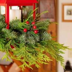5 In. Noble Fir DIY Red Lantern Arrangement Kit -Christmas Decor Shop national plant network fresh christmas plants hd1862 44 1000