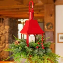 5 In. Noble Fir DIY Red Lantern Arrangement Kit -Christmas Decor Shop national plant network fresh christmas plants hd1862 4f 1000