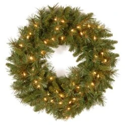 24 In. Tiffany Fir Artificial Wreath With Clear Lights