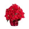 19 In. Red Lush Poinsettia Artificial Arrangement In Red Wrapped Planter -Christmas Decor Shop nearly natural artificial christmas plants a2172 64 1000