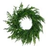 24 In. Artificial Real Touch Norfolk Island Pine Wreath With Natural Look 1 24 In. Artificial Real Touch Norfolk Island Pine Wreath With Natural Look -Christmas Decor Shop nearly natural christmas wreaths w1396 64 1000