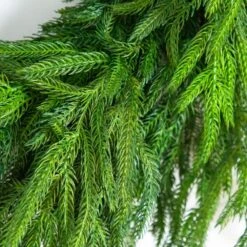 24 In. Artificial Real Touch Norfolk Island Pine Wreath With Natural Look -Christmas Decor Shop nearly natural christmas wreaths w1396 e1 1000