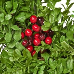 Senoia 26 In. Artificial Boxwood And Berries Wreath -Christmas Decor Shop noble house christmas wreaths 104478 4f 1000