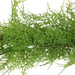 Northlight 5 Ft. X 5 In. Green And Brown Unlit Cedar Artificial Christmas Garland 11 Northlight 5 Ft. X 5 In. Green And Brown Unlit Cedar Artificial Christmas Garland -Christmas Decor Shop northlight christmas garland 34315268 4f 1000