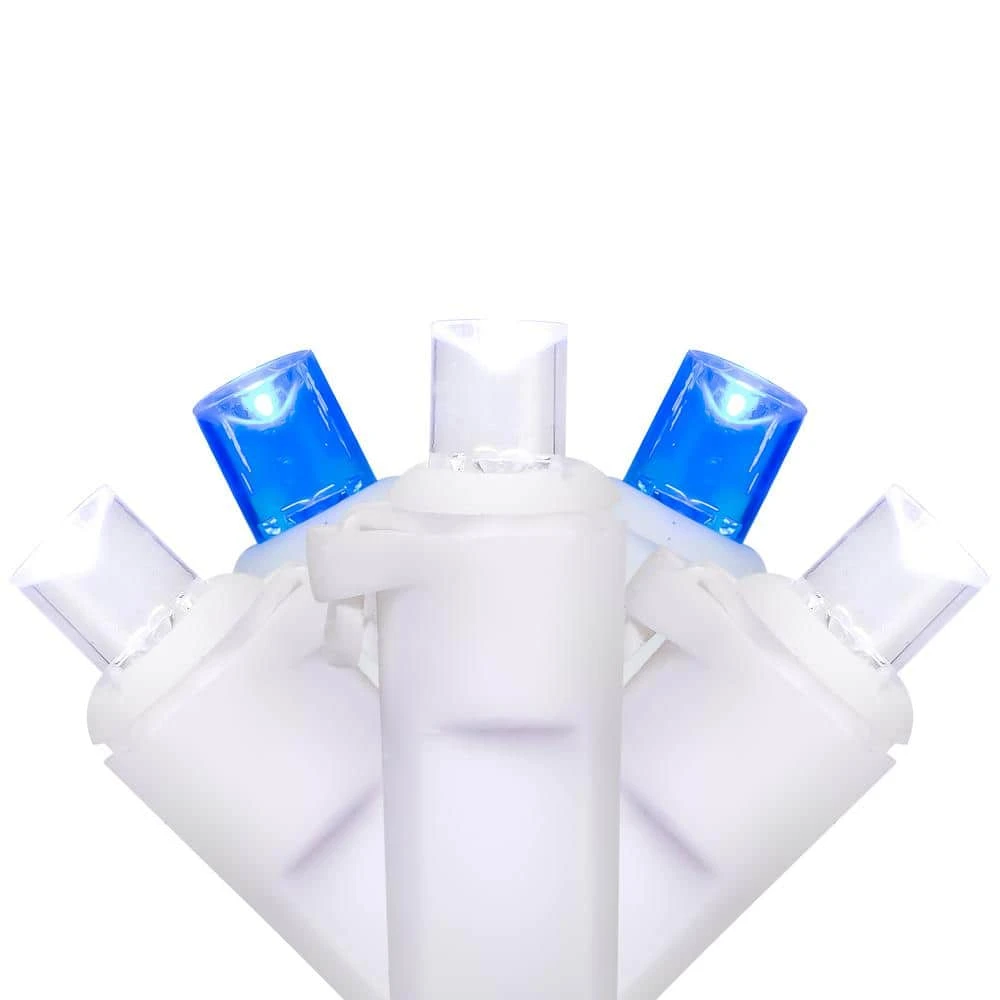 Northlight Set Of 50 LED Wide Angle Lights Blue/White LED - White Wire 3 Northlight Set Of 50 LED Wide Angle Lights Blue/White LED - White Wire