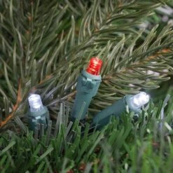 Northlight Set Of 50 Red And White LED Wide Angle Christmas Lights - Green Wire 12 Northlight Set Of 50 Red And White LED Wide Angle Christmas Lights - Green Wire -Christmas Decor Shop northlight christmas string lights 32608205 44 1000