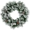 Northlight 24 In. Flocked Angel Pine With Pine Cones Unlit Artificial Christmas Wreath 1 Northlight 24 In. Flocked Angel Pine With Pine Cones Unlit Artificial Christmas Wreath -Christmas Decor Shop northlight christmas wreaths 32607288 64 1000