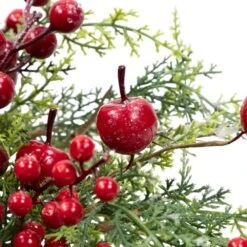 Northlight 24 In. Unlit Frosted Berry And Crabapple Cedar And Pine Artificial Christmas Wreath 15 Northlight 24 In. Unlit Frosted Berry And Crabapple Cedar And Pine Artificial Christmas Wreath -Christmas Decor Shop northlight christmas wreaths 35762347 fa 1000