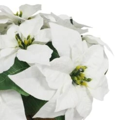 19 In. Pre-Lit Battery-Operated White Potted Artificial Potted Poinsettias Arrangement -Christmas Decor Shop puleo international artificial christmas plants 51063 st19whlw015 bo fa 1000