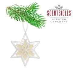 Scented Star Ornament, White Winter Fir, 2-Pack -Christmas Decor Shop scentsicles christmas ornament sets sc106 wf0166 2 1f 1000