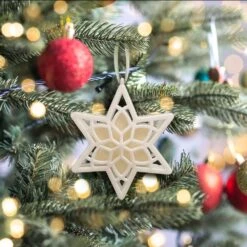 Scented Star Ornament, White Winter Fir, 2-Pack -Christmas Decor Shop scentsicles christmas ornament sets sc106 wf0166 2 31 1000