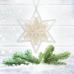 Scented Star Ornament, White Winter Fir, 2-Pack -Christmas Decor Shop scentsicles christmas ornament sets sc106 wf0166 2 4f 1000