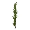 6 Ft. Cedar Garland 1 6 Ft. Cedar Garland -Christmas Decor Shop worth imports christmas garland 7163 64 1000